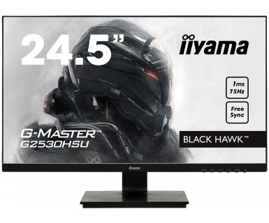 Monitor 24,5 G2530HSU-B1 TN,FHD 75Hz,1MS,HDMI,DP,USB.