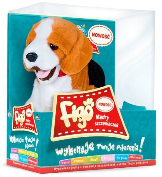 Piesek reagujący na komendy Beagle
