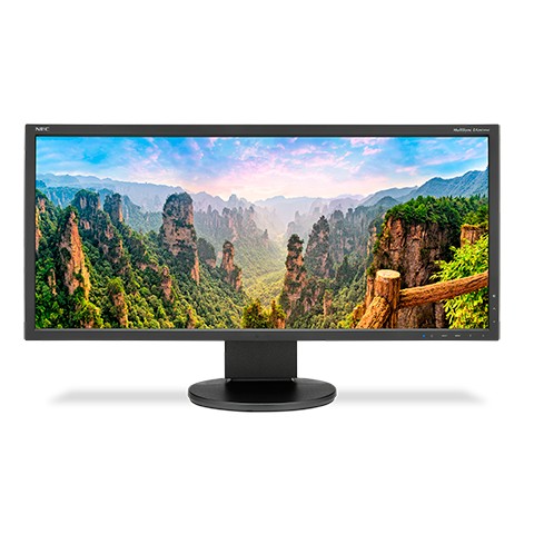 Monitor 29 EA295WMi WIDE IPS LED 1000:1 czarny 