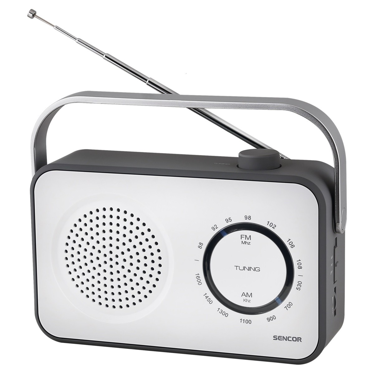 Radio AM/FM SRD 2100W 