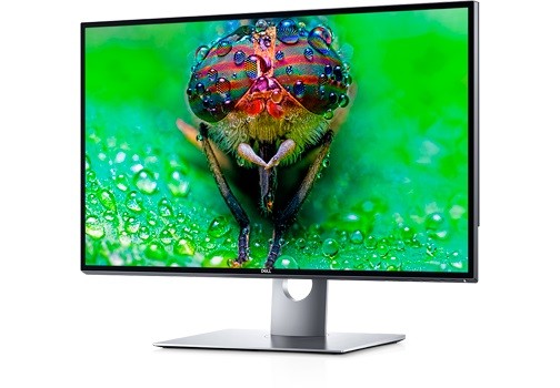 Monitor 31.5 UP3218K LED 8K/7680x4320/16:9/3Y AES