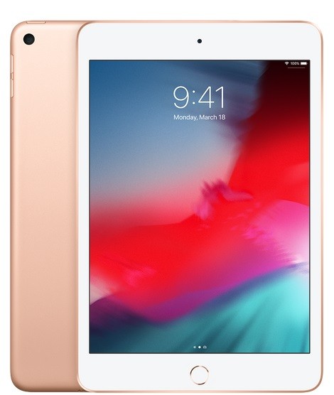 iPad mini Wi-Fi 256GB - Gold
