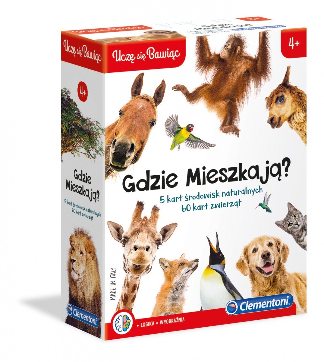 Gra Gdzie mieszkają?