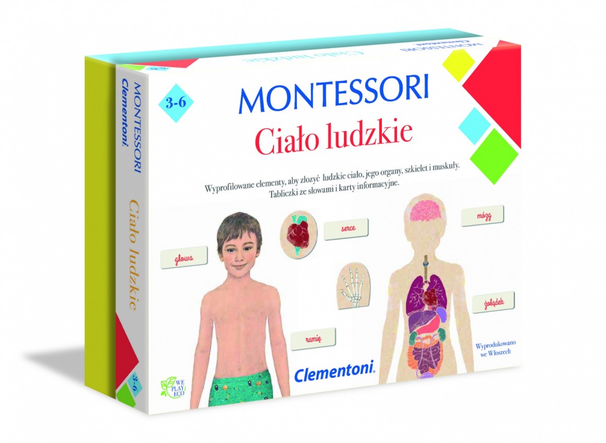 Gra Montessori Ciało ludzkie