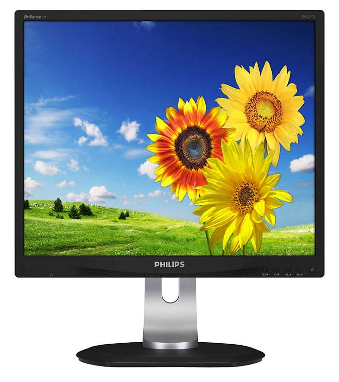 Monitor 19P4QYEB 19 IPS DVI DP Pivot Głośniki