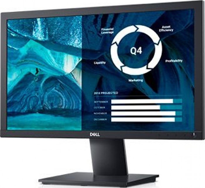 Monitor E2020H 19.5  LED TN (1600x900) /16:9/VGA/DP 1.2/3Y PPG