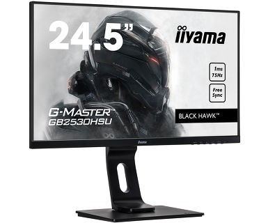 Monitor 24,5 GB2530HSU-B1 1MS,HDMI,DP,USB,PIVOT, FREESYNC,FLICKER 