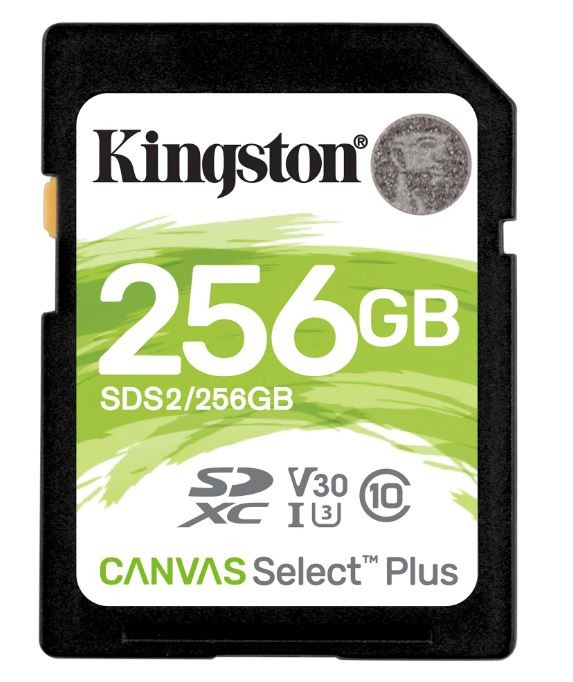 Karta pamięci SD 256GB Canvas Select Plus R100MB/s 