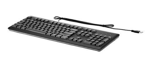 USB Keyboard                  QY776AA