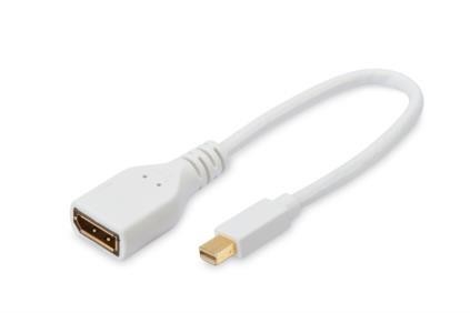 Kabel adapter Displayport 4K 60Hz UHD Typ miniDP/DP M/Ż biały 0,15m