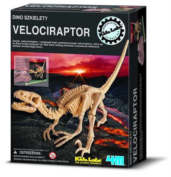 Wykopaliska Velociraptor