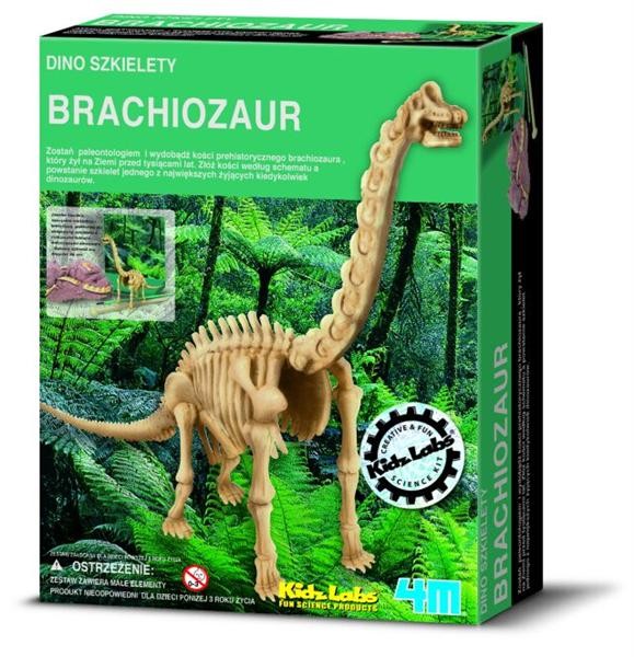 Wykopaliska Brachiosaurus