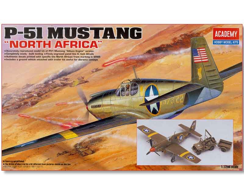 P-51 Mustang North Africa