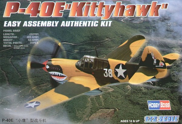 HOBBY BOSS P-40E Kittyha wk