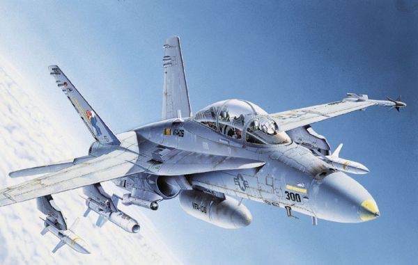 ITALERI F/A-18 C/D Wild Weasel