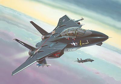 REVELL F-14A Black Tomc at