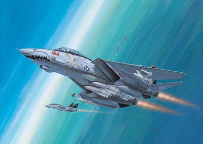 REVELL F-14D Super Tomca t