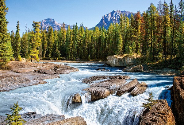 CASTOR 1500 EL. JASPER N AT.PARK, CANADA